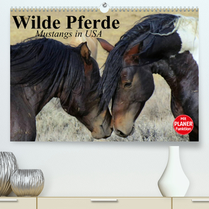 Wilde Pferde. Mustangs in USA (Premium, hochwertiger DIN A2 Wandkalender 2023, Kunstdruck in Hochglanz) von Stanzer,  Elisabeth