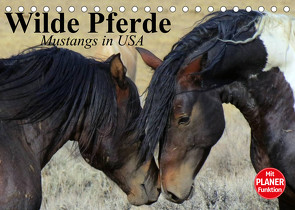 Wilde Pferde. Mustangs in USA (Tischkalender 2023 DIN A5 quer) von Stanzer,  Elisabeth