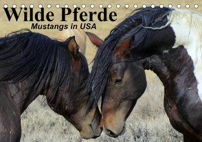Wilde Pferde • Mustangs in USA (Tischkalender 2024 DIN A5 quer), CALVENDO Monatskalender von Stanzer,  Elisabeth