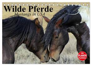 Wilde Pferde. Mustangs in USA (Tischkalender 2024 DIN A5 quer), CALVENDO Monatskalender von Stanzer,  Elisabeth