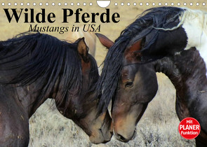 Wilde Pferde. Mustangs in USA (Wandkalender 2022 DIN A4 quer) von Stanzer,  Elisabeth