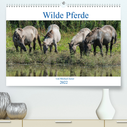 Wilde Pferde von Michael Jaster (Premium, hochwertiger DIN A2 Wandkalender 2022, Kunstdruck in Hochglanz) von N.,  N.