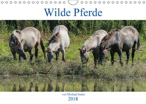 Wilde Pferde von Michael Jaster (Wandkalender 2018 DIN A4 quer) von N.,  N.