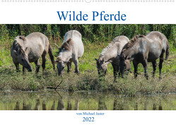 Wilde Pferde von Michael Jaster (Wandkalender 2022 DIN A2 quer) von N.,  N.