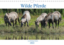 Wilde Pferde von Michael Jaster (Wandkalender 2022 DIN A4 quer) von N.,  N.