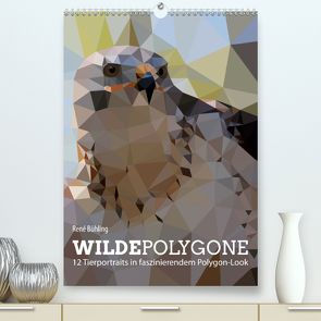 Wilde Polygone (Premium, hochwertiger DIN A2 Wandkalender 2020, Kunstdruck in Hochglanz) von Bühling,  René