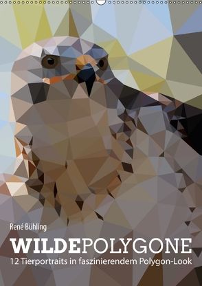 Wilde Polygone (Wandkalender 2018 DIN A2 hoch) von Bühling,  René