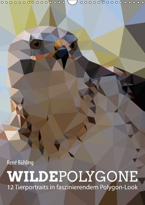 Wilde Polygone (Wandkalender 2018 DIN A3 hoch) von Bühling,  René