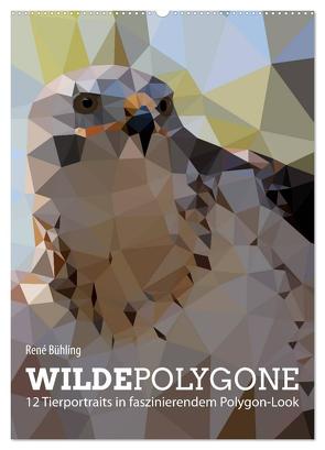 Wilde Polygone (Wandkalender 2024 DIN A2 hoch), CALVENDO Monatskalender von Bühling,  René