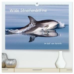 Wilde Streifendelfine im Golf von Korinth (hochwertiger Premium Wandkalender 2024 DIN A2 quer), Kunstdruck in Hochglanz von Bouillon,  Jörg