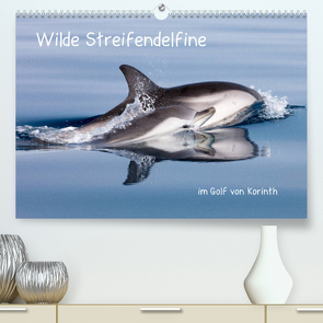 Wilde Streifendelfine im Golf von Korinth (Premium, hochwertiger DIN A2 Wandkalender 2022, Kunstdruck in Hochglanz) von Bouillon,  Jörg