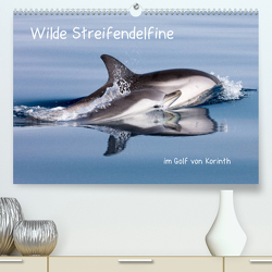 Wilde Streifendelfine im Golf von Korinth (Premium, hochwertiger DIN A2 Wandkalender 2023, Kunstdruck in Hochglanz) von Bouillon,  Jörg
