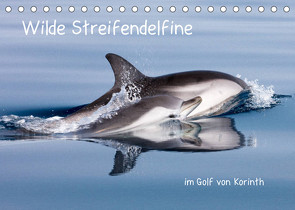 Wilde Streifendelfine im Golf von Korinth (Tischkalender 2022 DIN A5 quer) von Bouillon,  Jörg