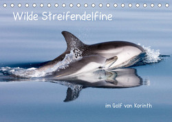 Wilde Streifendelfine im Golf von Korinth (Tischkalender 2023 DIN A5 quer) von Bouillon,  Jörg