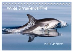 Wilde Streifendelfine im Golf von Korinth (Tischkalender 2024 DIN A5 quer), CALVENDO Monatskalender von Bouillon,  Jörg
