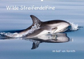 Wilde Streifendelfine im Golf von Korinth (Wandkalender 2022 DIN A2 quer) von Bouillon,  Jörg