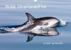 Wilde Streifendelfine im Golf von Korinth (Wandkalender 2023 DIN A3 quer) von Bouillon,  Jörg