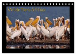 Wilde Tiere Afrikas (Tischkalender 2024 DIN A5 quer), CALVENDO Monatskalender von Depner,  Uta