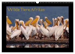 Wilde Tiere Afrikas (Wandkalender 2024 DIN A3 quer), CALVENDO Monatskalender von Depner,  Uta