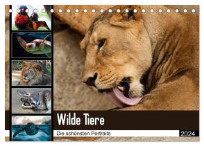 Wilde Tiere – Die schönsten Portraits (Tischkalender 2024 DIN A5 quer), CALVENDO Monatskalender von Enderlein - Bethari Bengals,  Sylke