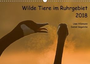 Wilde Tiere im Ruhrgebiet (Wandkalender 2018 DIN A3 quer) von Hilsmann,  Uwe, Segelcke,  Daniel