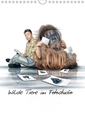 Wilde Tiere in Fotostudio (Wandkalender 2018 DIN A4 hoch) von Dreblow,  Werner