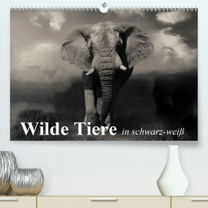 Wilde Tiere in schwarz-weiß (Premium, hochwertiger DIN A2 Wandkalender 2021, Kunstdruck in Hochglanz) von Stanzer,  Elisabeth