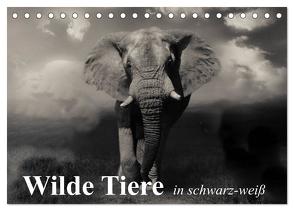 Wilde Tiere in schwarz-weiß (Tischkalender 2024 DIN A5 quer), CALVENDO Monatskalender von Stanzer,  Elisabeth