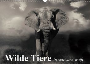 Wilde Tiere in schwarz-weiß (Wandkalender 2019 DIN A3 quer) von Stanzer,  Elisabeth