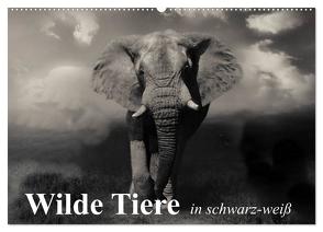 Wilde Tiere in schwarz-weiß (Wandkalender 2024 DIN A2 quer), CALVENDO Monatskalender von Stanzer,  Elisabeth