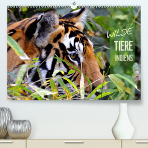 Wilde Tiere Indiens (Premium, hochwertiger DIN A2 Wandkalender 2023, Kunstdruck in Hochglanz) von Bergermann,  Manfred