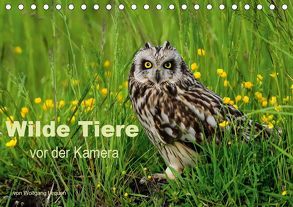 Wilde Tiere vor der Kamera (Tischkalender 2019 DIN A5 quer) von Lequen,  Wolfgang