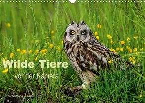 Wilde Tiere vor der Kamera (Wandkalender 2018 DIN A3 quer) von Lequen,  Wolfgang