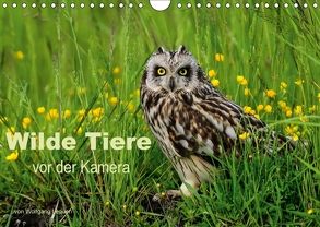 Wilde Tiere vor der Kamera (Wandkalender 2018 DIN A4 quer) von Lequen,  Wolfgang