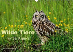 Wilde Tiere vor der Kamera (Wandkalender 2019 DIN A3 quer) von Lequen,  Wolfgang