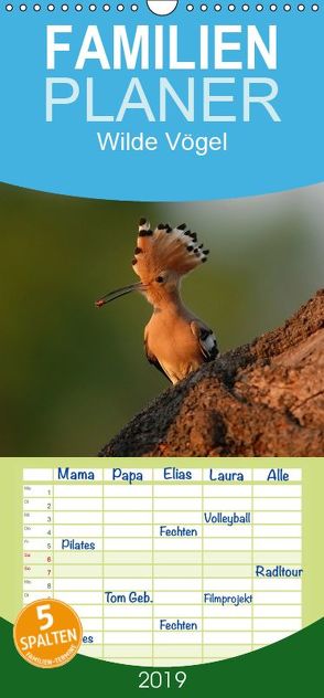 Wilde Vögel – Familienplaner hoch (Wandkalender 2019 , 21 cm x 45 cm, hoch) von Hilger,  Axel