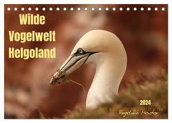 Wilde Vogelwelt Helgoland (Tischkalender 2024 DIN A5 quer), CALVENDO Monatskalender von Meister,  Angelika