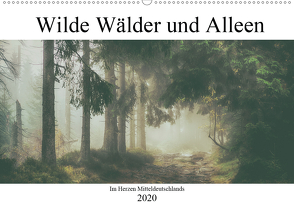 Wilde Wälder und Alleen im Herzen Mitteldeuschlands (Wandkalender 2020 DIN A2 quer) von Wenske,  Steffen