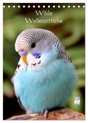 Wilde Wellensittiche (Tischkalender 2024 DIN A5 hoch), CALVENDO Monatskalender von Bergmann,  Björn