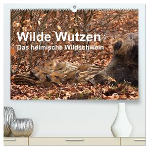 Wilde Wutzen. Das heimische Wildschwein (hochwertiger Premium Wandkalender 2024 DIN A2 quer), Kunstdruck in Hochglanz von von Düren,  Alexander