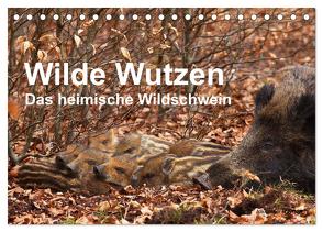 Wilde Wutzen. Das heimische Wildschwein (Tischkalender 2024 DIN A5 quer), CALVENDO Monatskalender von von Düren,  Alexander