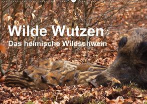 Wilde Wutzen. Das heimische Wildschwein (Wandkalender 2018 DIN A2 quer) von von Düren,  Alexander