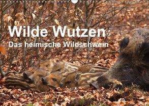 Wilde Wutzen. Das heimische Wildschwein (Wandkalender 2019 DIN A3 quer) von von Düren,  Alexander