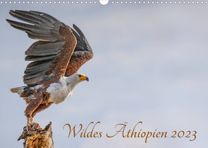 Wildes Äthiopien (Wandkalender 2023 DIN A3 quer) von Hecker,  Rolf