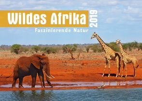 Wildes Afrika 2019 von Krikava,  Angelika