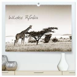 Wildes Afrika (hochwertiger Premium Wandkalender 2024 DIN A2 quer), Kunstdruck in Hochglanz von Tiedge - Wanyamacollection,  Klaus