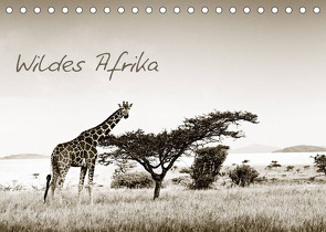 Wildes Afrika (Tischkalender 2022 DIN A5 quer) von Tiedge - Wanyamacollection,  Klaus