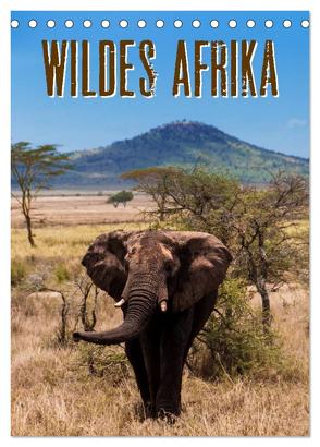 Wildes Afrika (Tischkalender 2024 DIN A5 hoch), CALVENDO Monatskalender von Paul Kaiser,  Frank