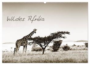 Wildes Afrika (Wandkalender 2024 DIN A2 quer), CALVENDO Monatskalender von Tiedge - Wanyamacollection,  Klaus