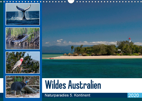 Wildes Australien – Naturparadies 5. Kontinent (Wandkalender 2020 DIN A3 quer) von Photo4emotion.com